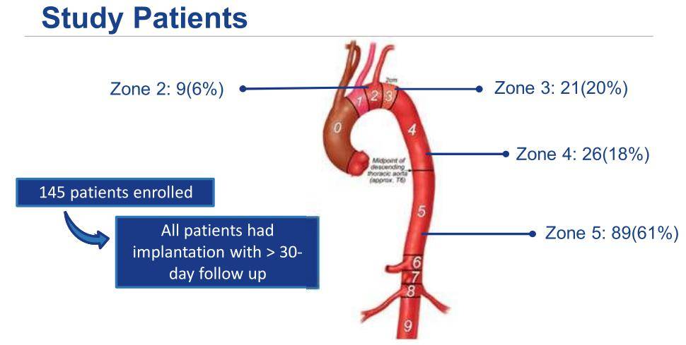 总 结f/b-evar治疗taaas的死亡率低,sci风险最小,无需常规脊髓引流.