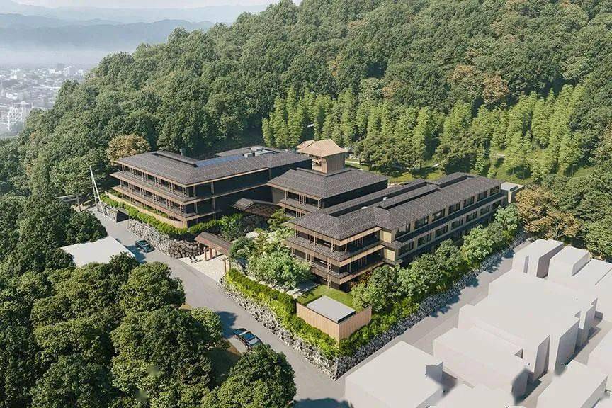 全球奢牌的必争之地,2024新酒店空前繁荣,janu,瑰丽,六善都在路上