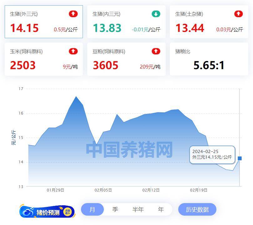 仔猪_价格_生猪