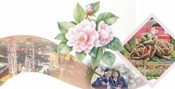 万花之城的昆明,市花为何选了它?_山茶花_城市_植物园