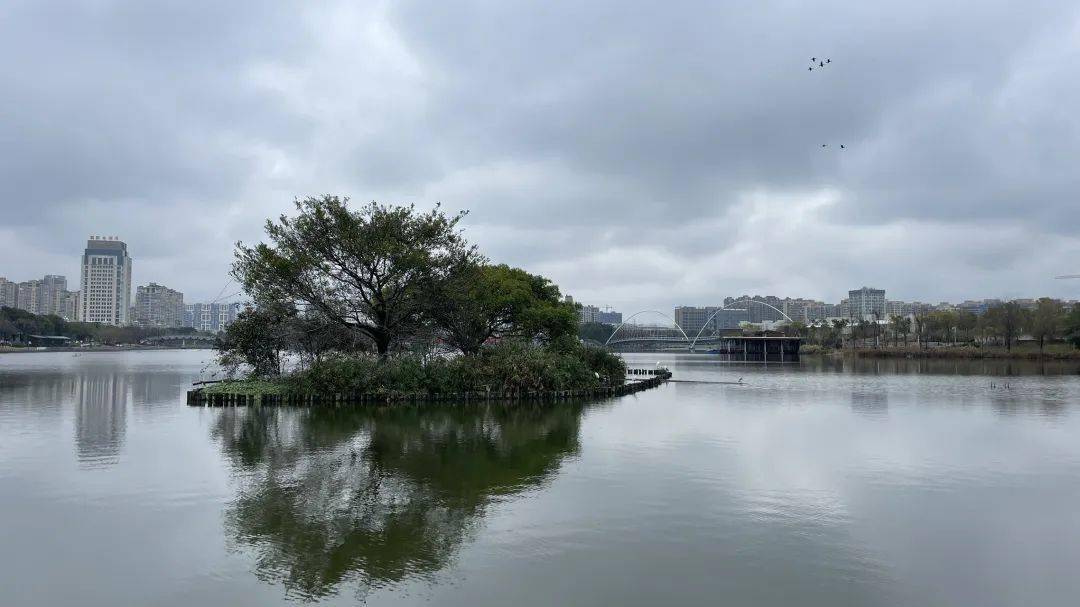 苍南人稳住!要持续到月底_天气_阴雨_金乡