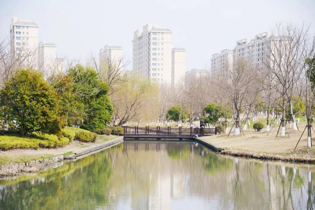 九亭镇_绿地_公园