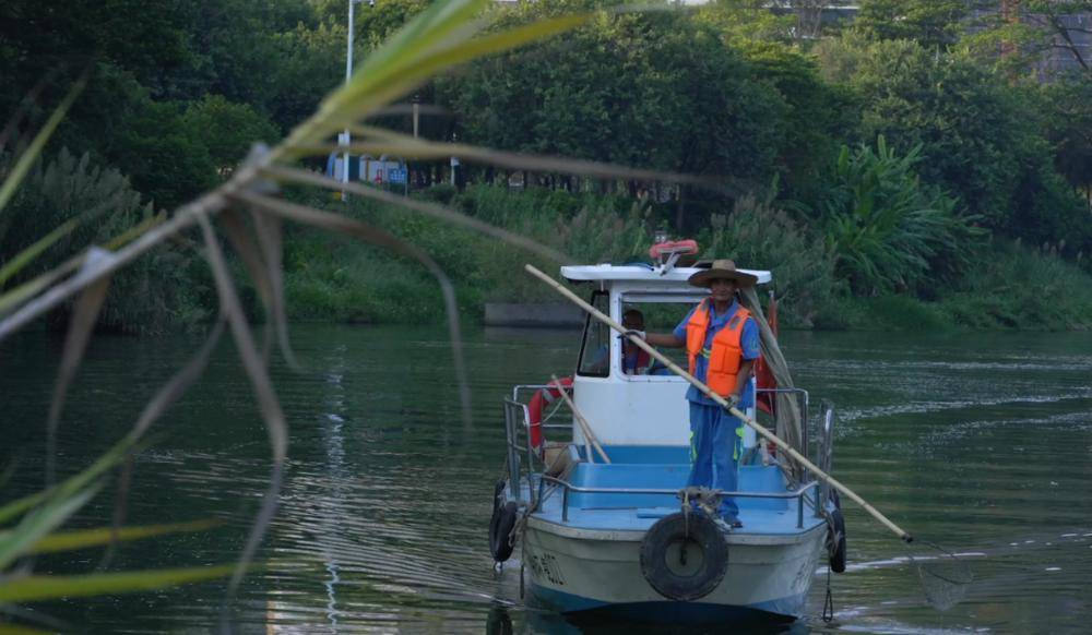 4吨,为"河清岸绿,鱼翔浅底,水草丰美,白鹭成群"的增江生态