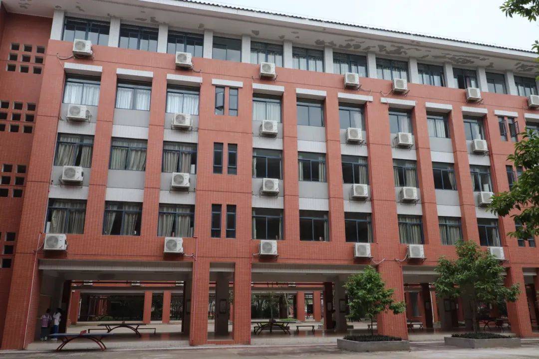 讲好南国故事 | 感恩母校行-回访肇庆市第一中学_进行了_师妹_师弟