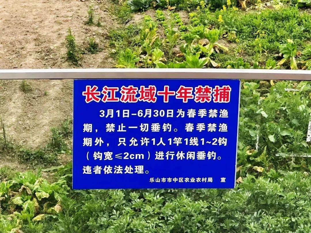 禁渔期即将到来 市中区加强监管力度
