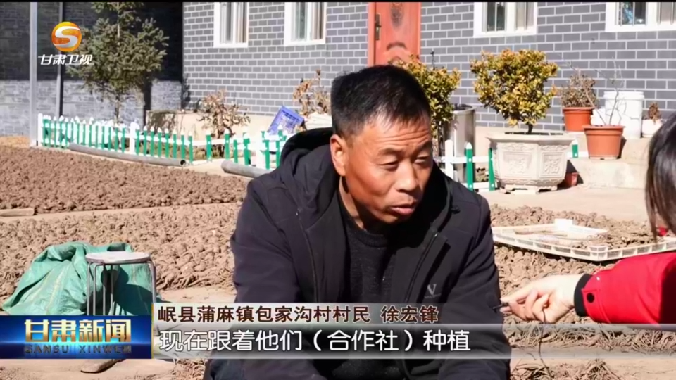 看振兴)定西:标准 追溯让道地药材"飘洋过海"走出去_岷县_甘肃_质量