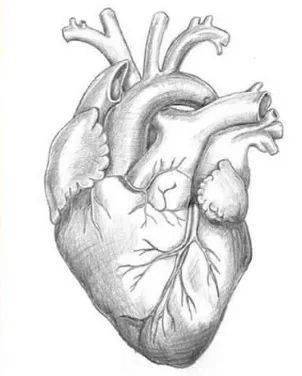 老鼠本想串门蹭饭吃,没想到钻进了猫屋,鼠鼠:妈妈,今晚不回家吃了