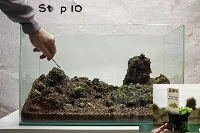 21步完成开缸,精确指导草缸小白入坑_水草_种植_造景