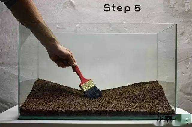 21步完成开缸,精确指导草缸小白入坑_水草_种植_造景