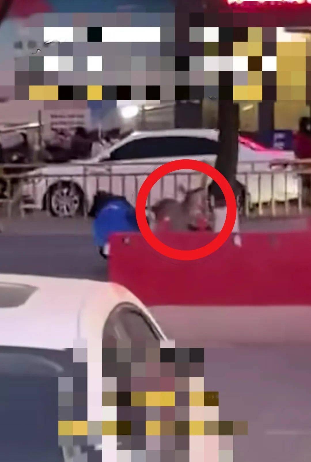 网友:"碰上它,代表一鹿顺风吧"_杜茜_王先生_视频