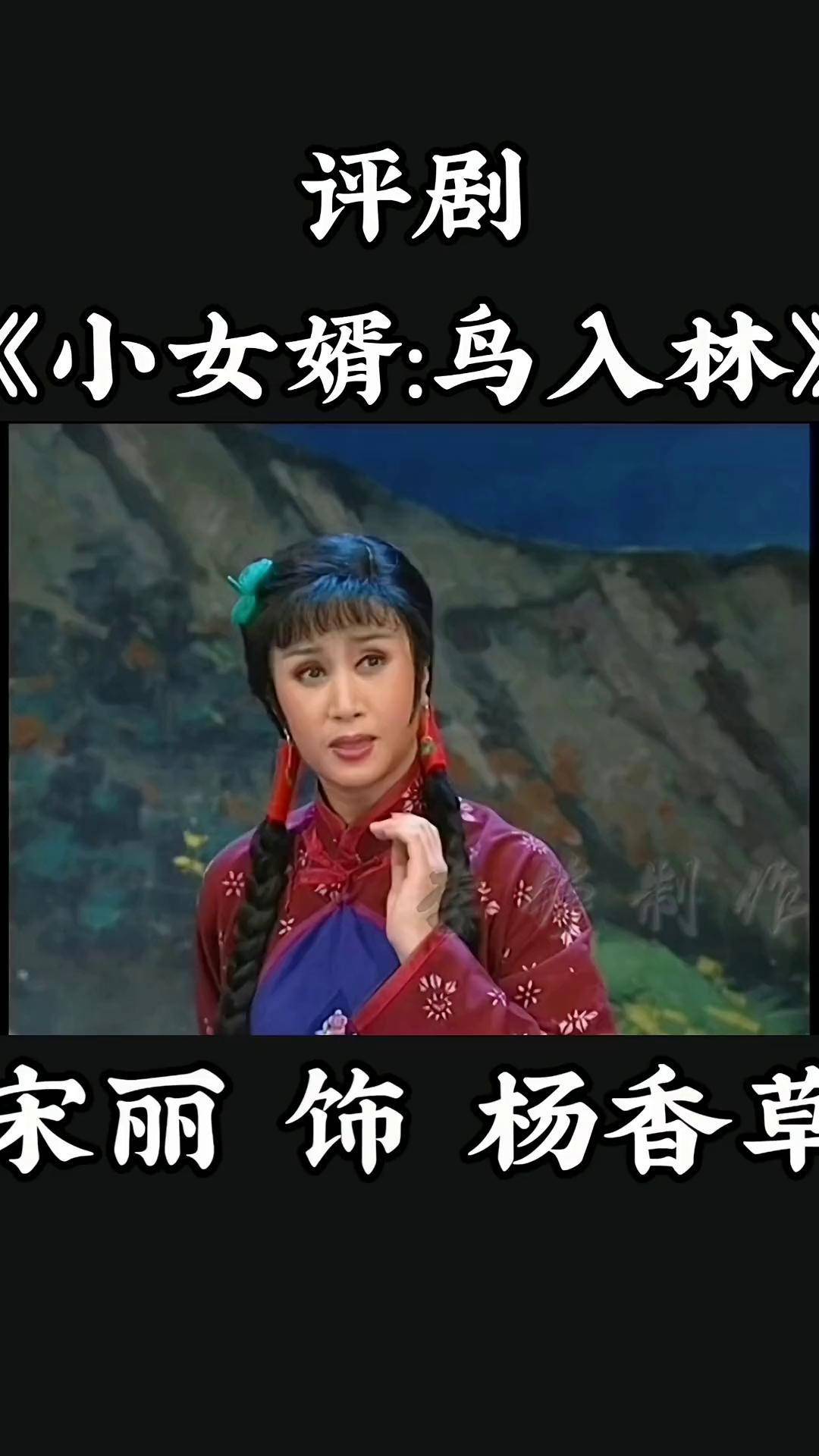 评剧《小女婿:鸟入林》宋丽戏曲 评剧 谁说戏曲不抖音 传承传统文化我