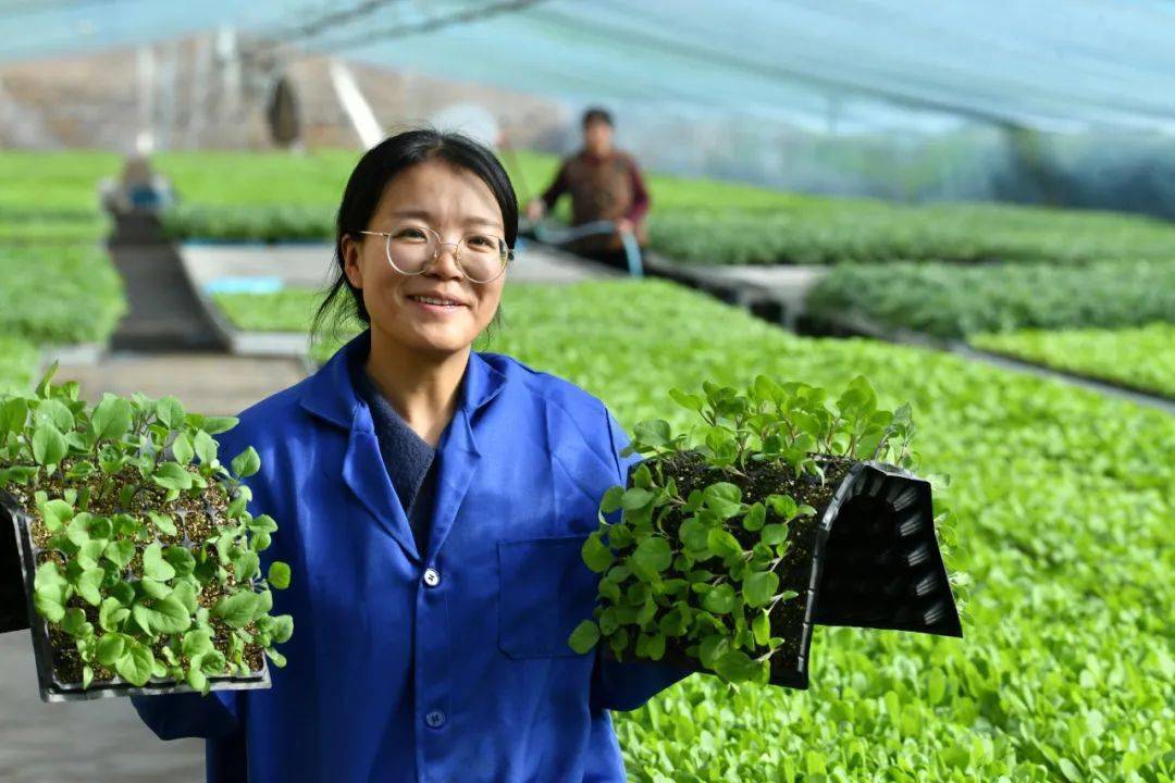 优秀青年事迹展播|肃宁县巾帼新农人67张莎莎_种苗_工作_平台