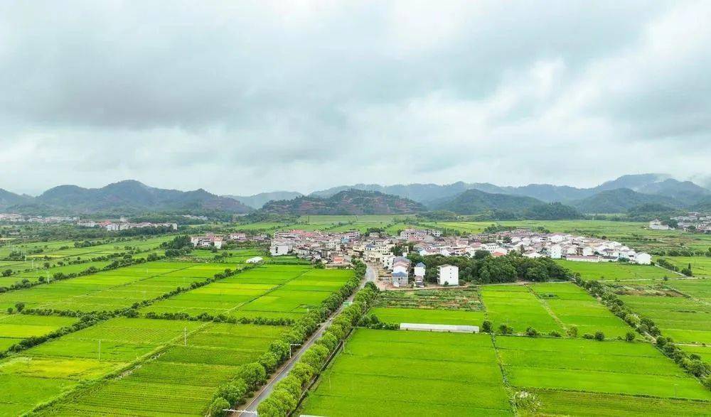 易地搬迁后续扶持工作获国家发改委通报表扬,乡村治理,脱贫人口小额