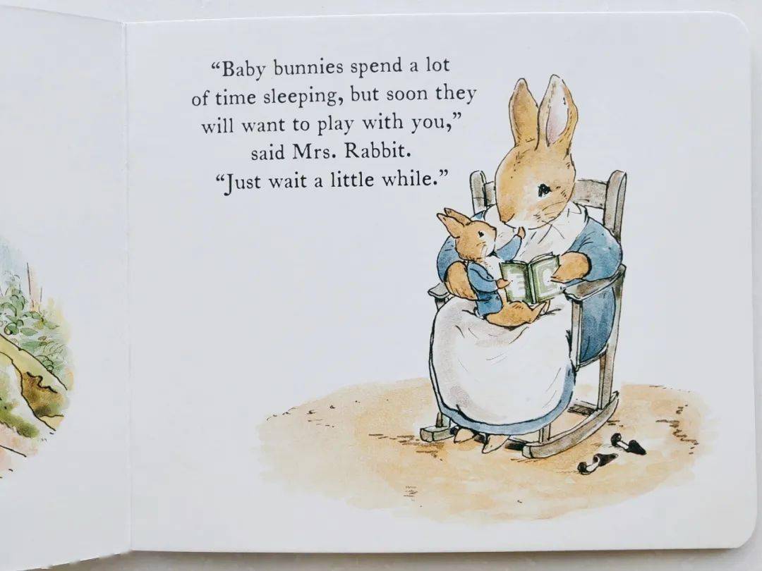  "A Journey Through the Cottontail Bunny Peter Rabbit's World: A Comprehensive Guide"