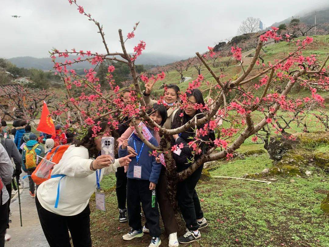 河源赏花的景点介绍图片