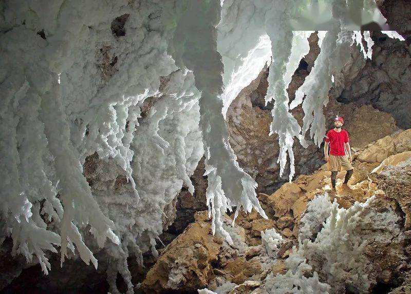 让你感染无药可治的"超级细菌"的,可能是一群猪