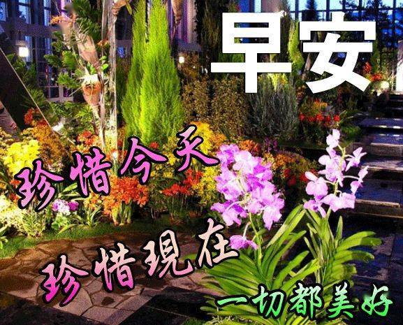 最新版带鲜花早安图片带字祝福语,超漂亮早安祝福语图片带字表情大全