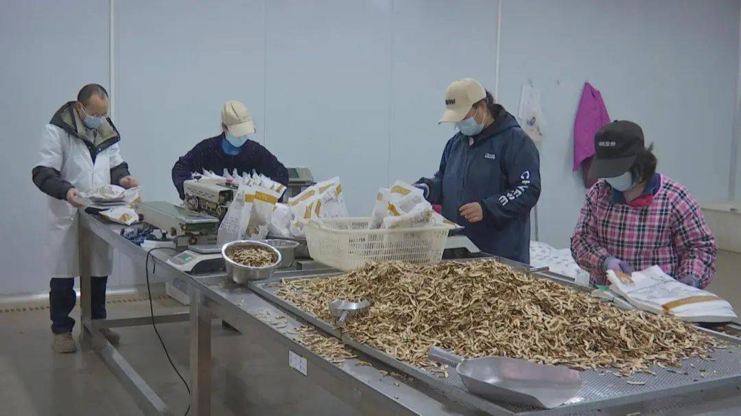 县工业园区入驻企业复工忙 奋力实现"开门红"_生产_进行_教育