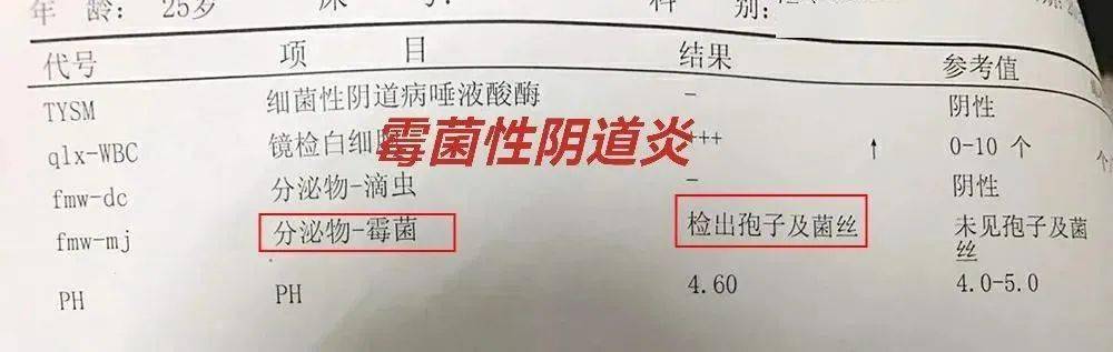 7a原棉无印染,不紧不勒"吸"走肚腩!_私处_面料_旦茉