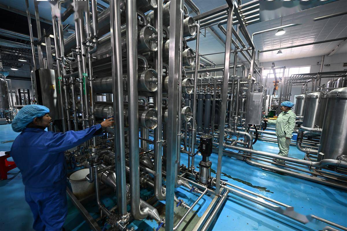 枝江茶叶深加工路子越走越宽_生产_宇隆_产品