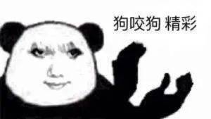 龙图表情包(99张)_公众_il_熊猫头