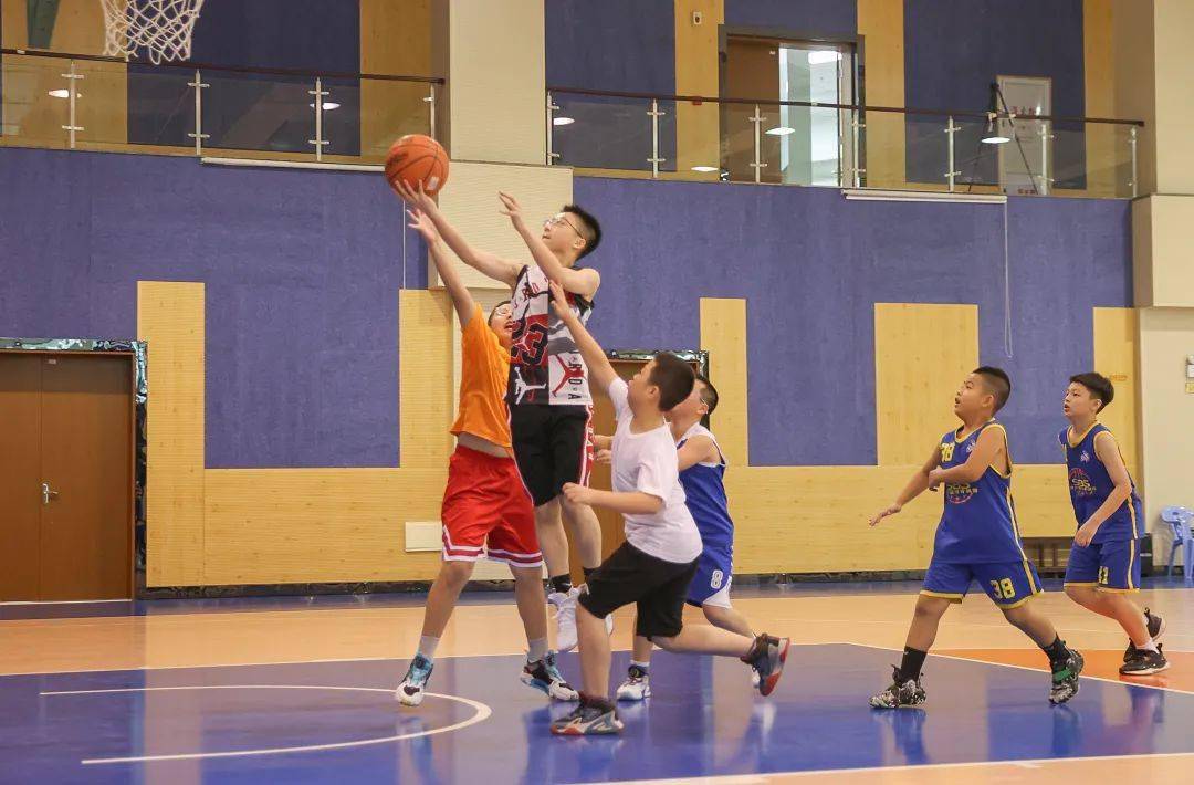 速看!_浔兴_篮球_训练营