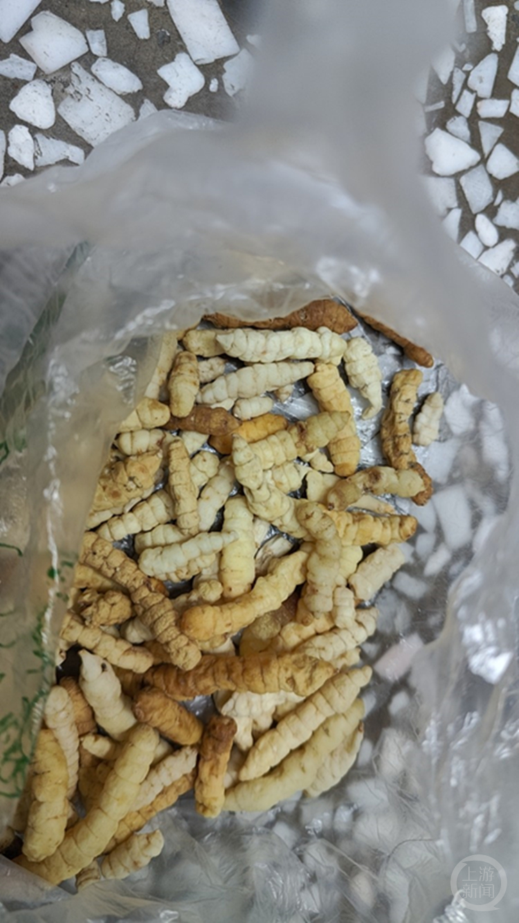 两个月诈骗40多名老人 名贵"雪虫"竟是风干后的泡菜_嫌疑人_牯牛_价格