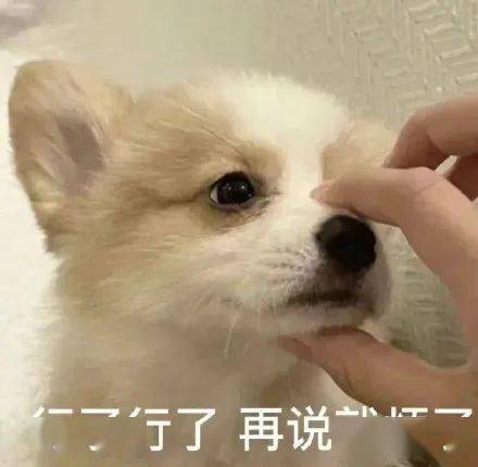 为啥我建议心理不强大,就最好不要跟四川人说话_朋友_东西_老汉