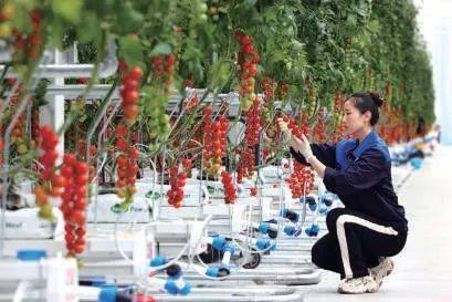 【京津冀协同发展10周年】首农食品集团丨用心守护京