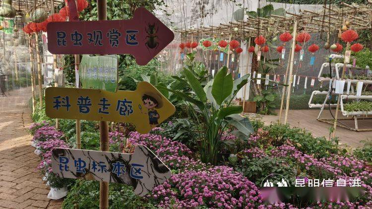 昆虫文化与艺术展览碰撞 捞渔河湿地公园打造全新生态体验_世界_游客