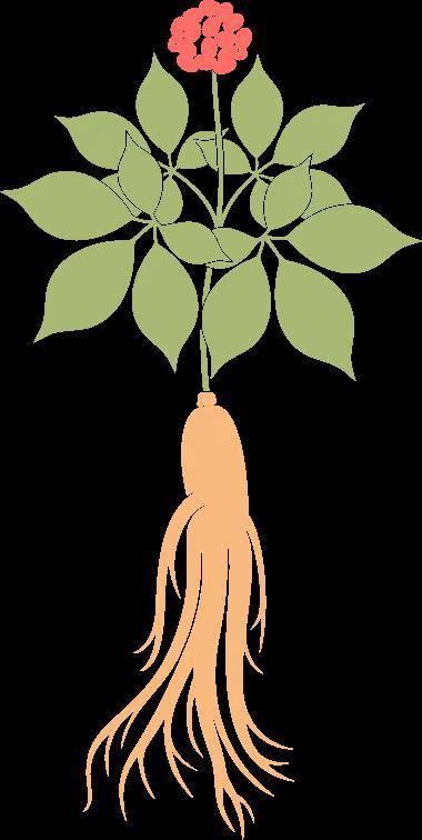 海关科普 | 一篇文章讲清楚中药材进口_检疫_口岸_动物