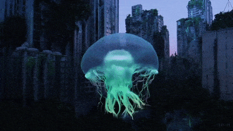 sora最新作品合集 | 附关键词_dragon_during_misty