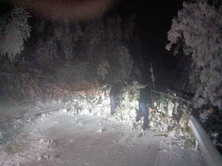4名驴友在四明山赏雪被困:雪中锯树开路,救援难度有多大?