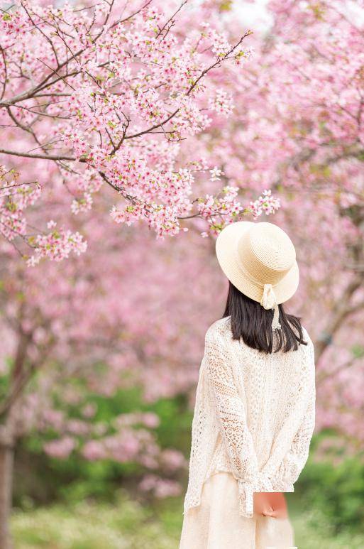 祝福_别名_郁金香