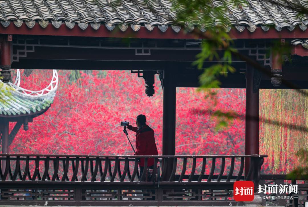 棠湖公园景点图片