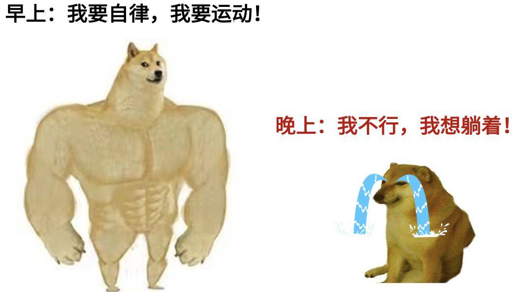 自从把运动改到早上,神奇的事情发生了(不只是瘦……_研究_身体_减肥