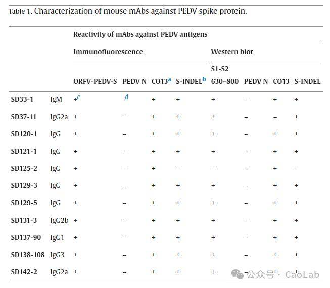 猪流行性腹泻病毒s2糖蛋白亚基含有免疫显性中和表位_mabs_识别_区域