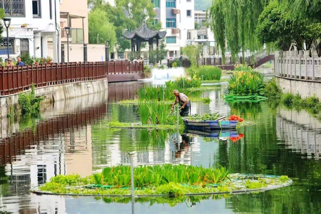 这项工作,连续两年位居全市第一