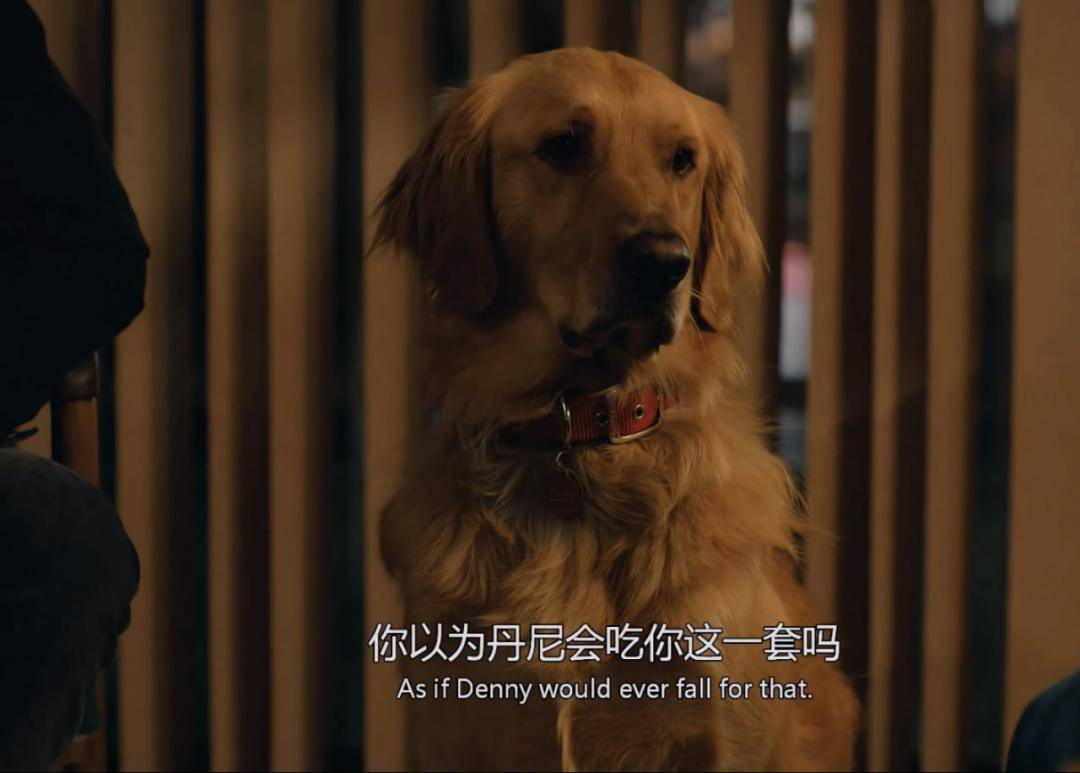 i was just .dude!wait till you see him race.