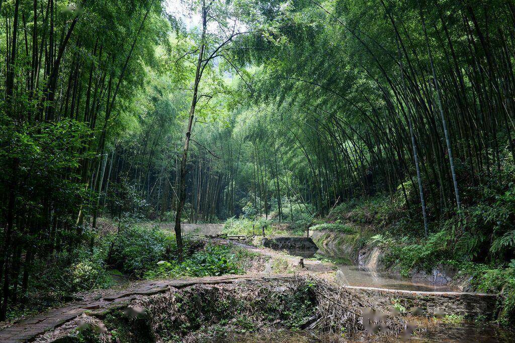 春光正好 何不去荣县赴一场春天的邀约?_踏青_文化_游客