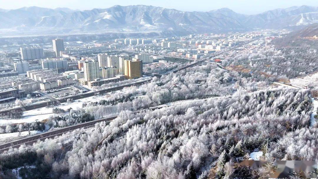 泾源县:雾凇仙境惹人醉_宁夏_冷空气_县城