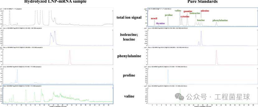 lnp-mrna成品分析:同位素稀释质谱法定量检测lnp中的mrna_测量_样品