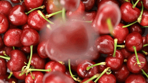 它玲珑有致,红如玛瑙,先从外表上轻松打败了众多对手!