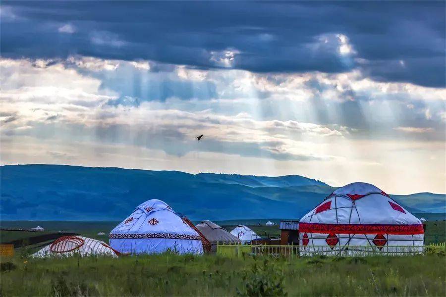 "悦"读 | 最先见到太阳的地方_那拉提_伊犁_草原