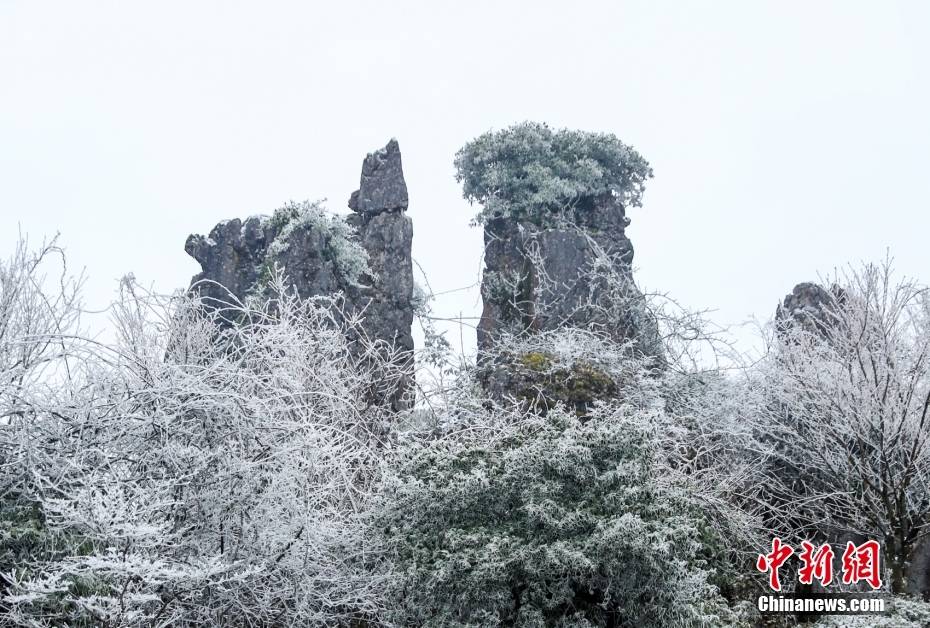 四川广安:春寒来临 华蓥山现"石崖雾凇"景观_视觉_中国