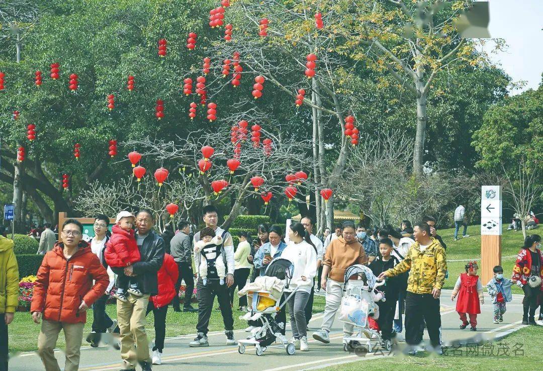 石油文化公园草坪上的花坛,则用红,黄,紫三色花卉摆成了一个大"春"字