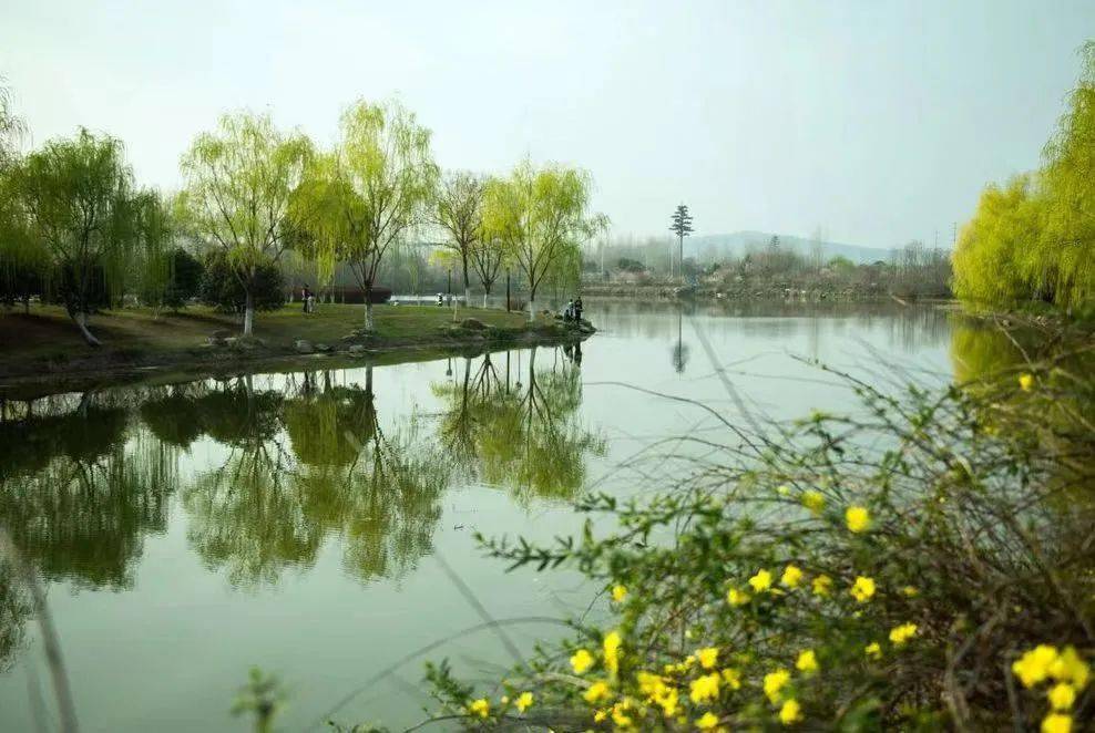 含山版《上春山》,从歌词里去寻找含山的春意~_人间_春色_青草