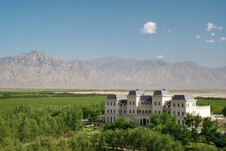 风景味道媲美欧洲,西北这个地方藏不住了_酒庄_宁夏_贺兰山