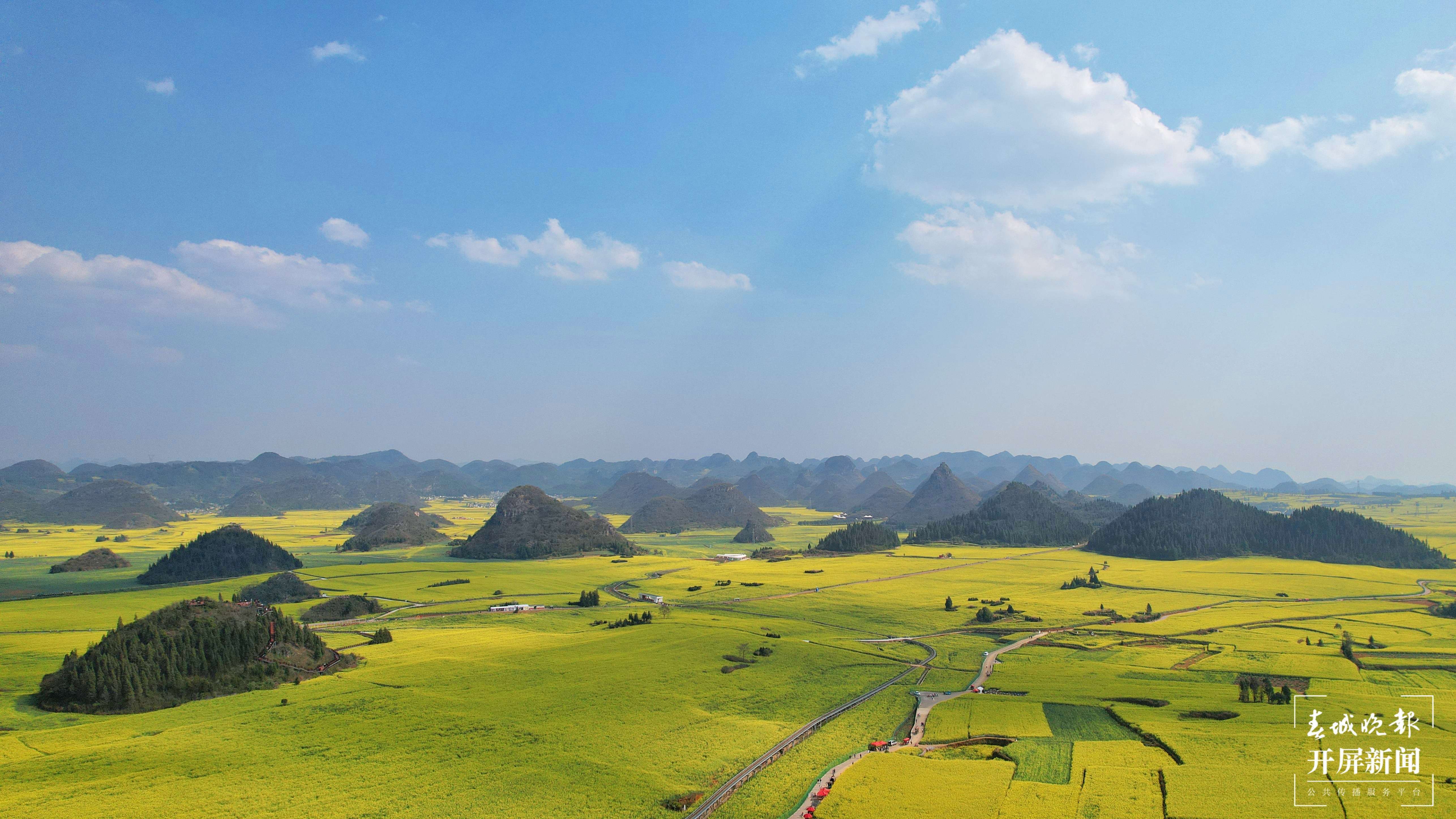 有一种叫云南的生活|乘火车穿越"金色花海",到罗平寻最美春天