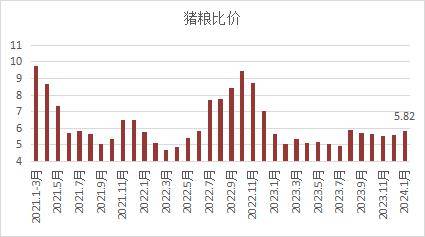 释放两大利好!猪价一飞就是3年内最高水平!_全国_生猪_同比